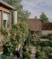 Courtyard garden 