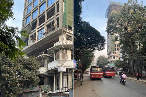 The building emerges through the West Bandra tree canopy